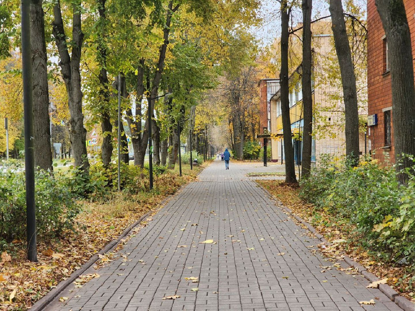 Пущино, серпухов, благоустройство,