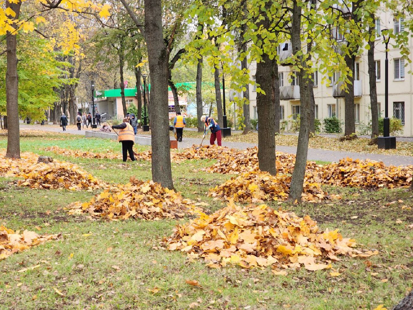 пущино, серпухов, благоуйстройство,