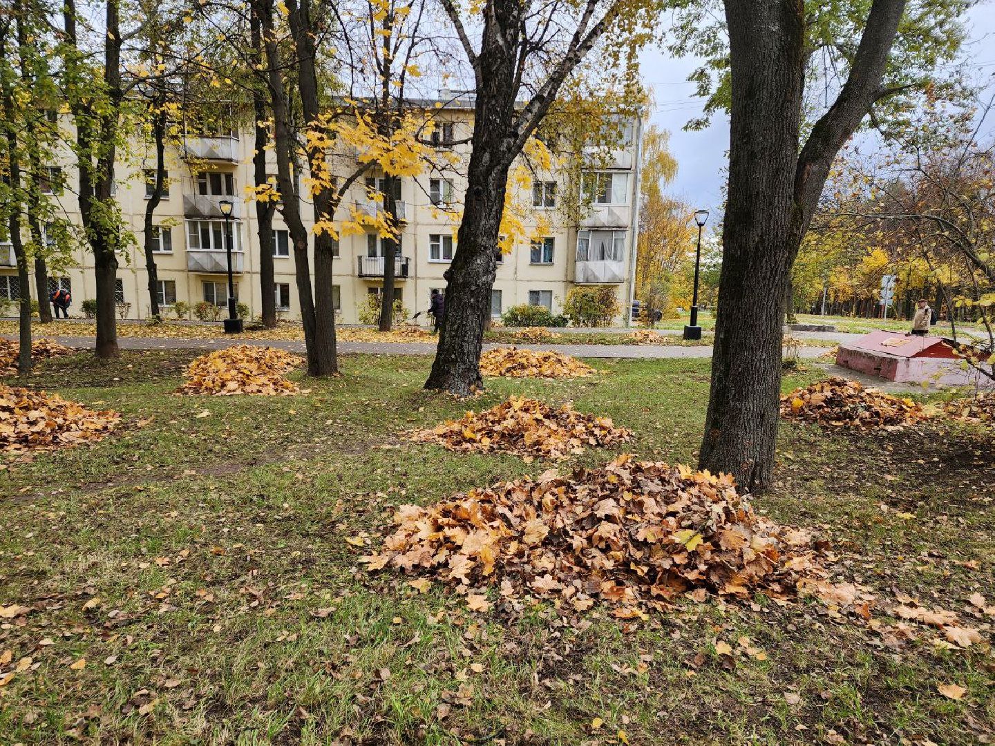 пущино, серпухов, благоуйстройство,