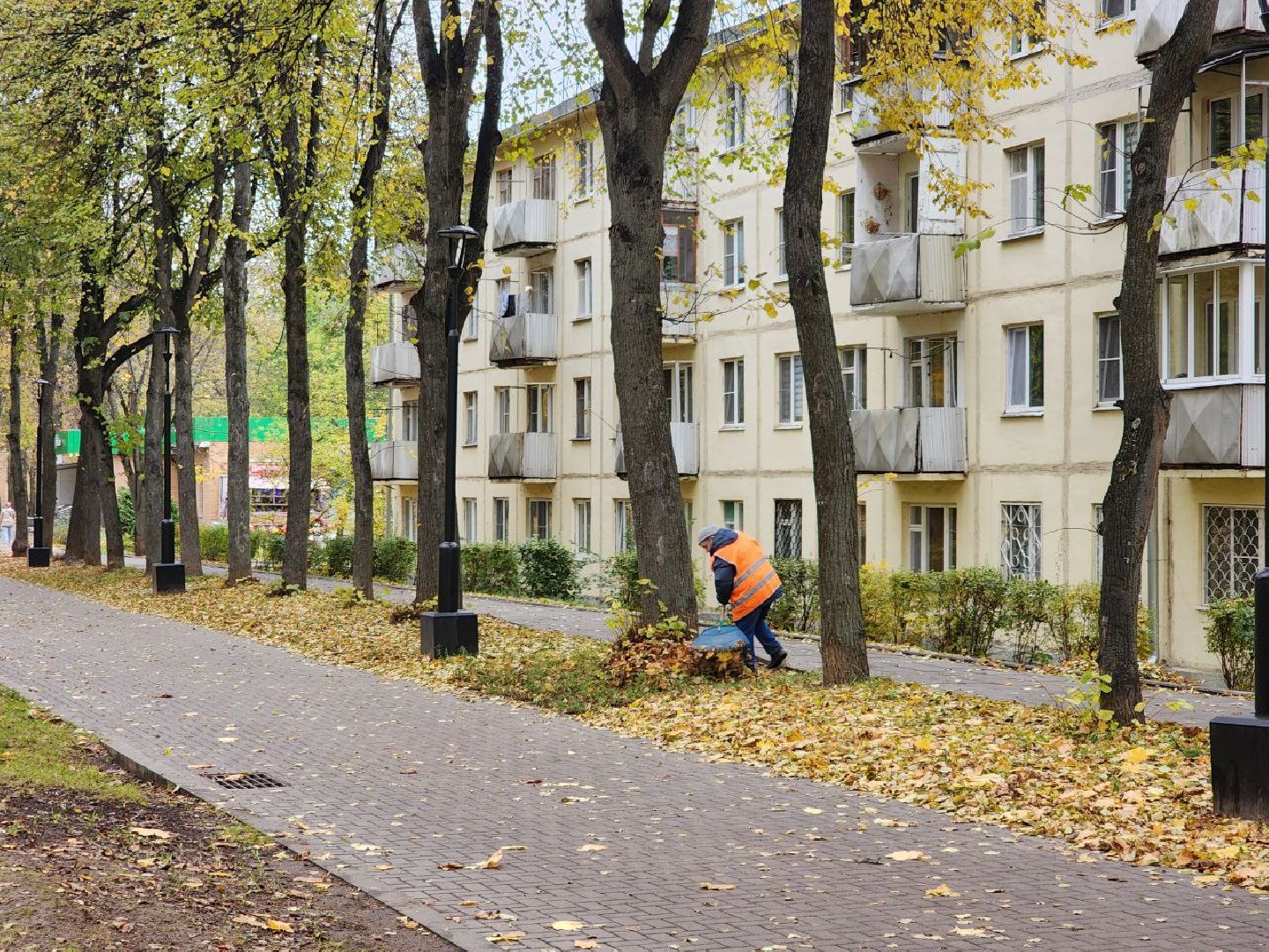 пущино, серпухов, благоуйстройство,