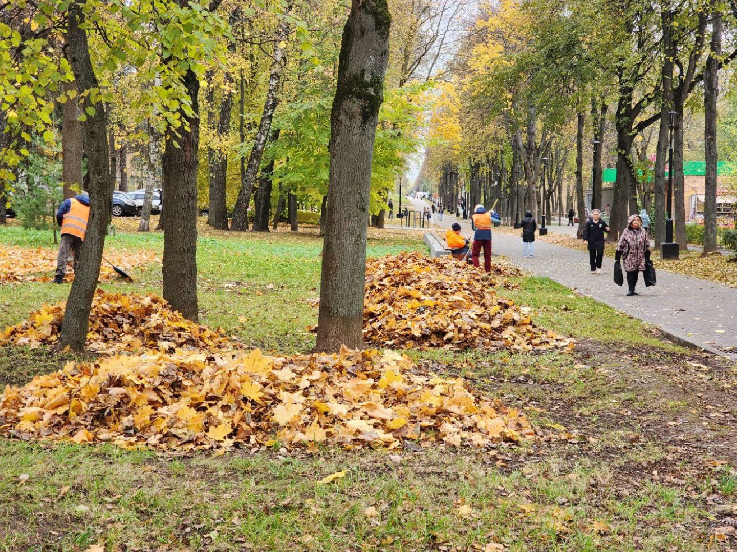 пущино, серпухов, благоуйстройство,