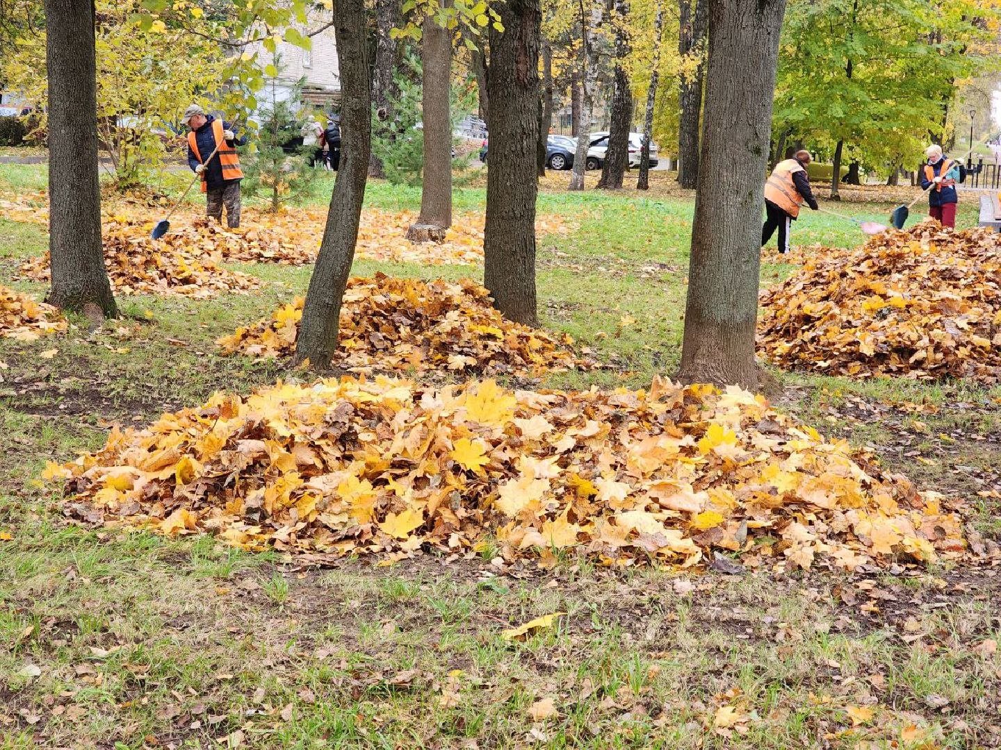 пущино, серпухов, благоуйстройство,