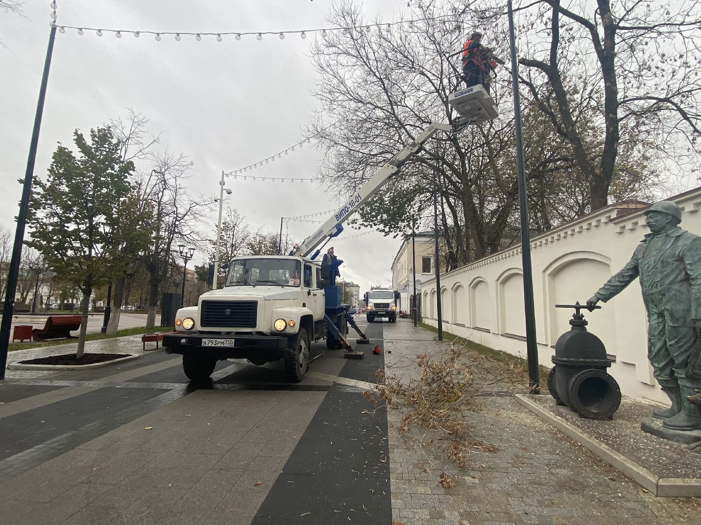 Деревья, Ветки, Рабочие, спиливание веток,