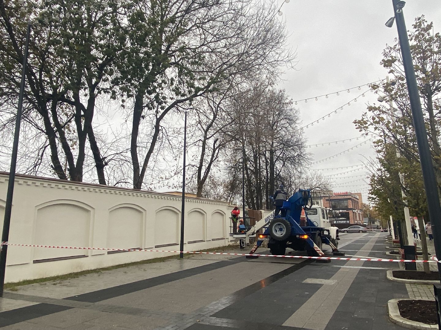 Деревья, Ветки, Рабочие, спиливание веток,