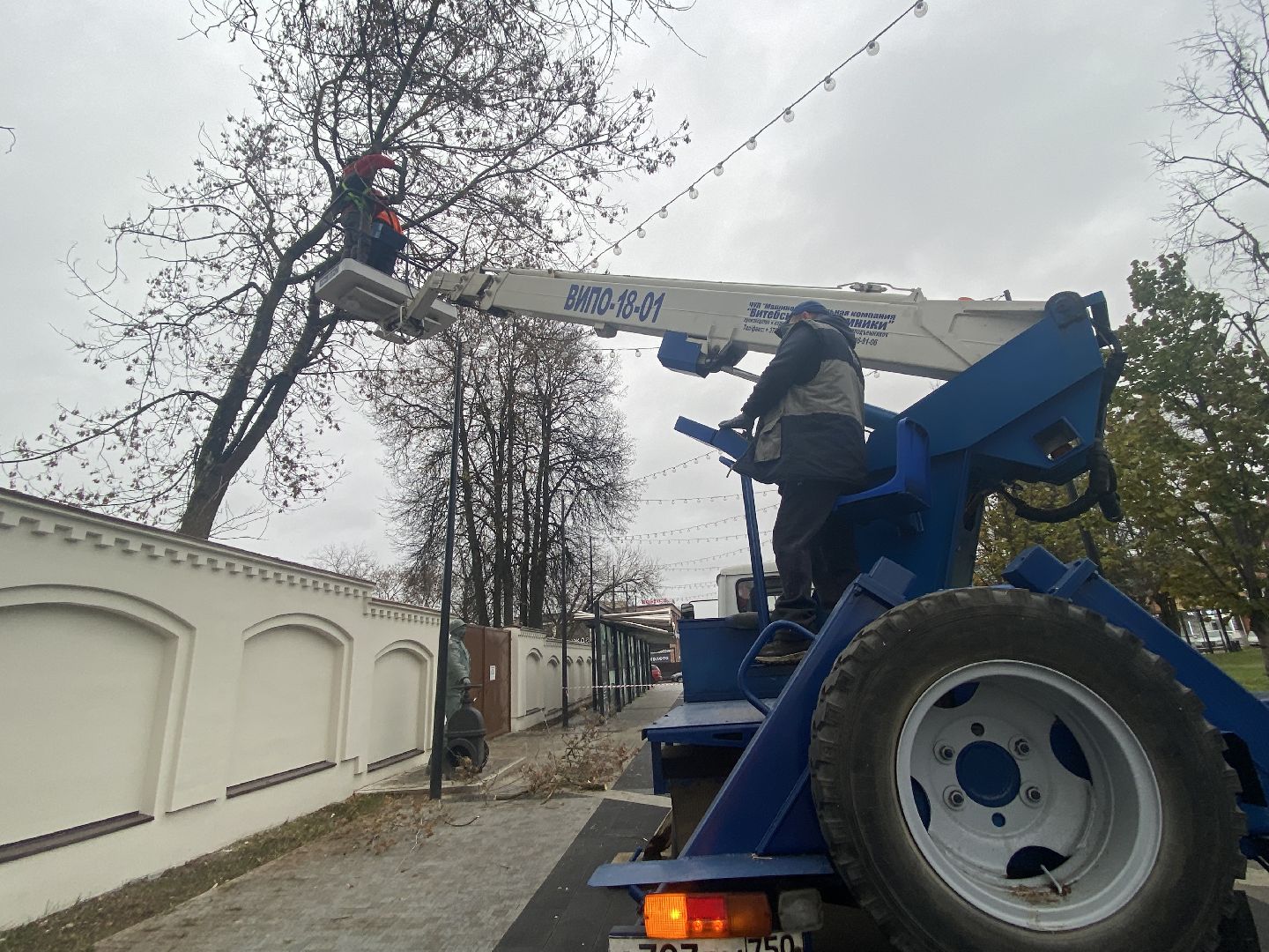 Деревья, Ветки, Рабочие, спиливание веток,