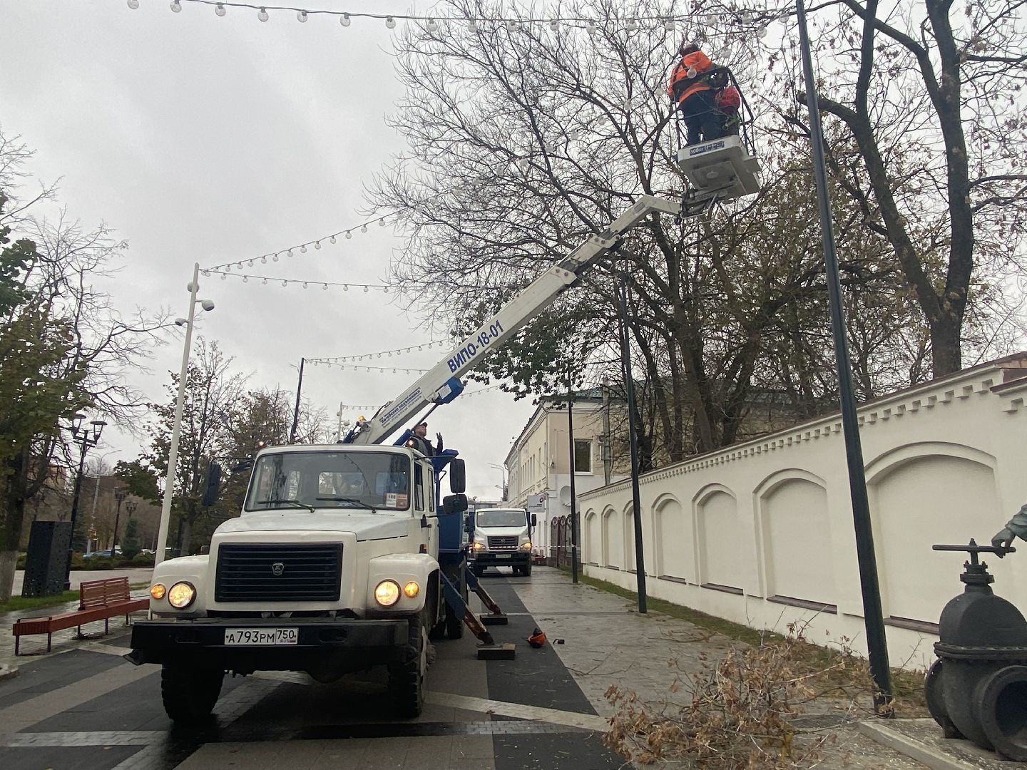 Деревья, Ветки, Рабочие, спиливание веток,