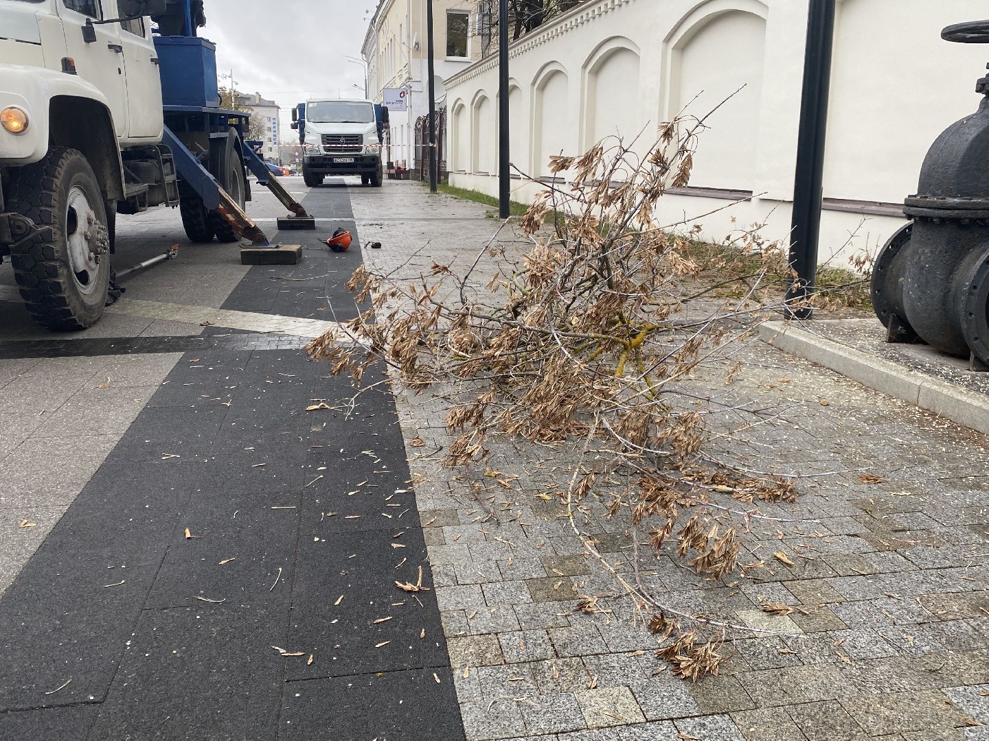 Деревья, Ветки, Рабочие, спиливание веток,