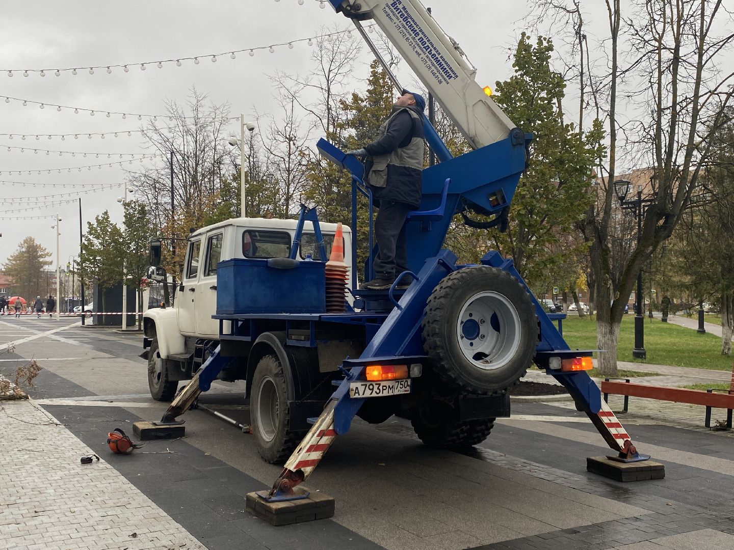 Деревья, Ветки, Рабочие, спиливание веток,