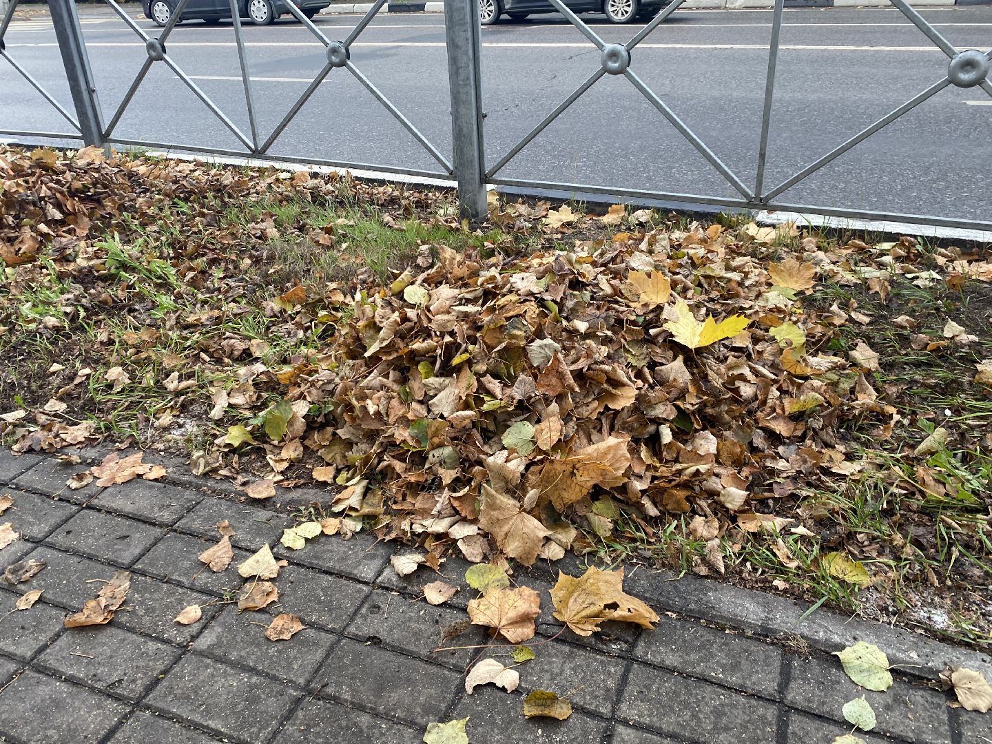 Уборка, Листва, уборка листьев,