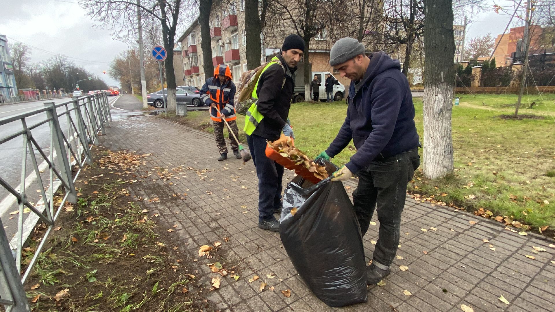 Уборка, Листва, уборка листьев,