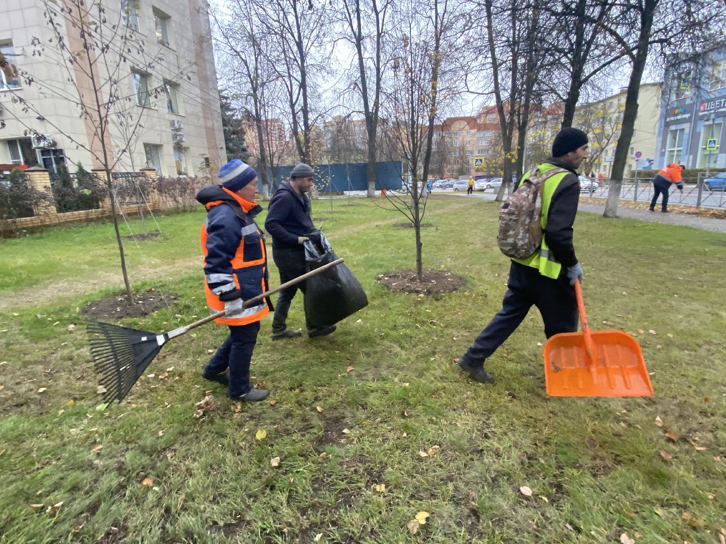 Уборка, Листва, уборка листьев,