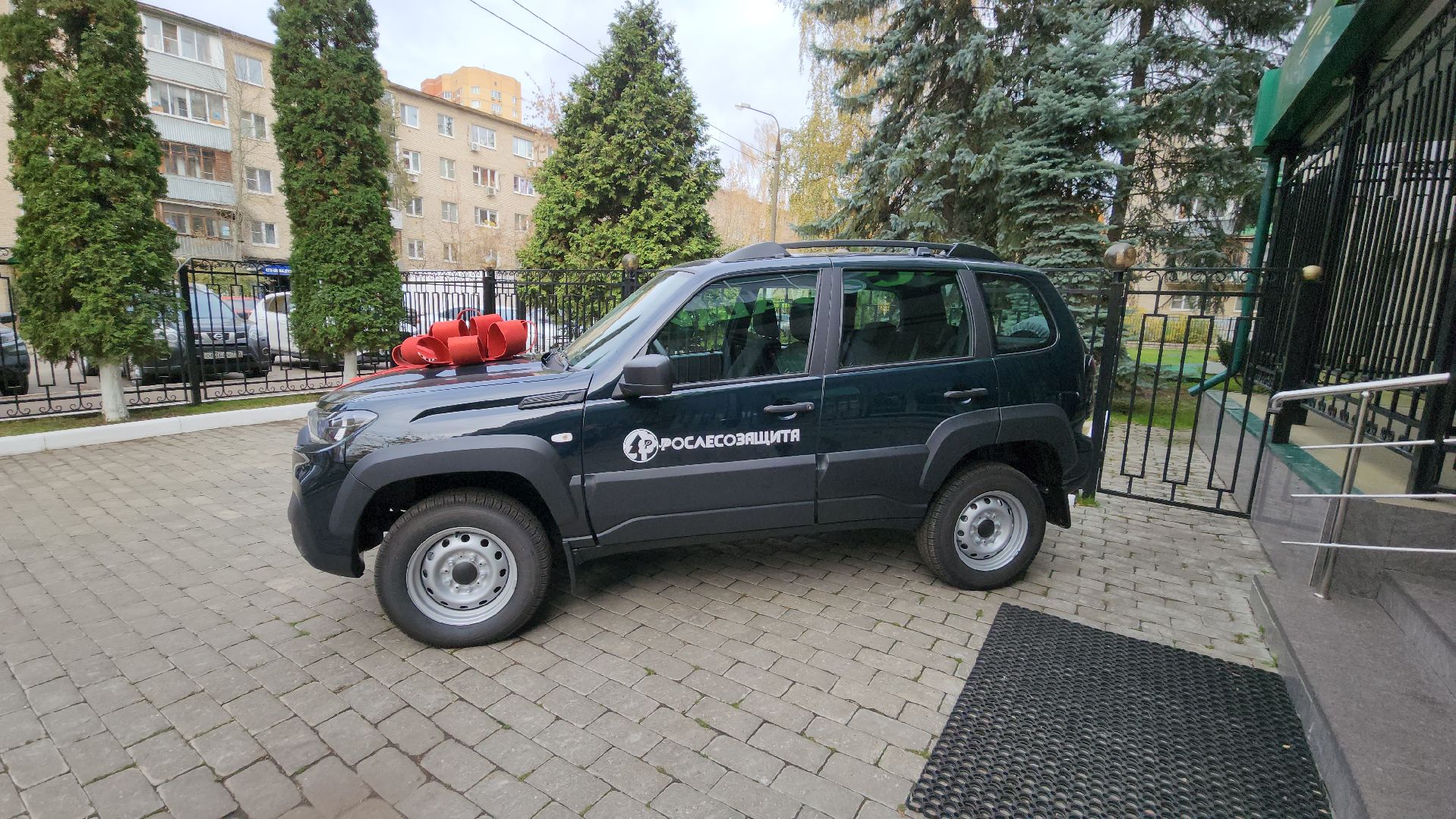 пушкино, лесное хозяйство, лесной фонд, вручение наград, лесовосстановление,