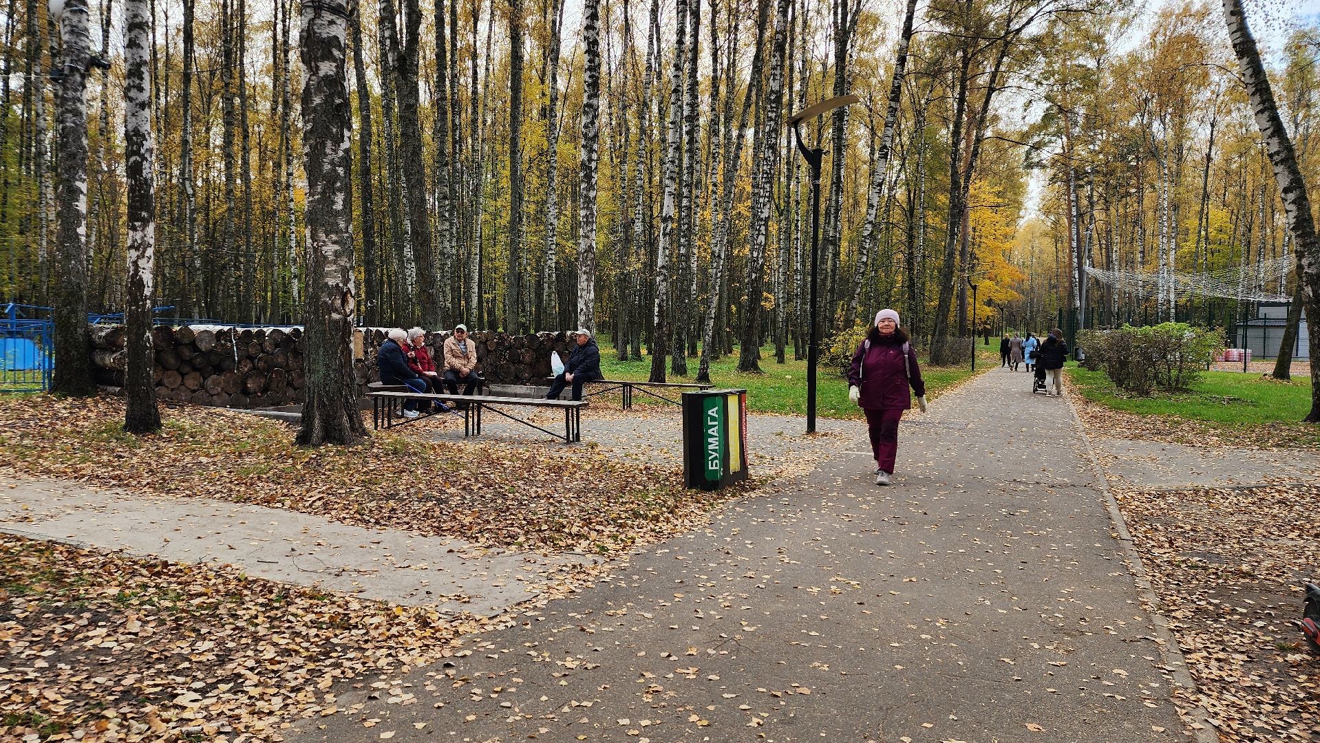 туризм, пешеходный маршрут, Центральный парк, Ногинск, Богородский городской округ,