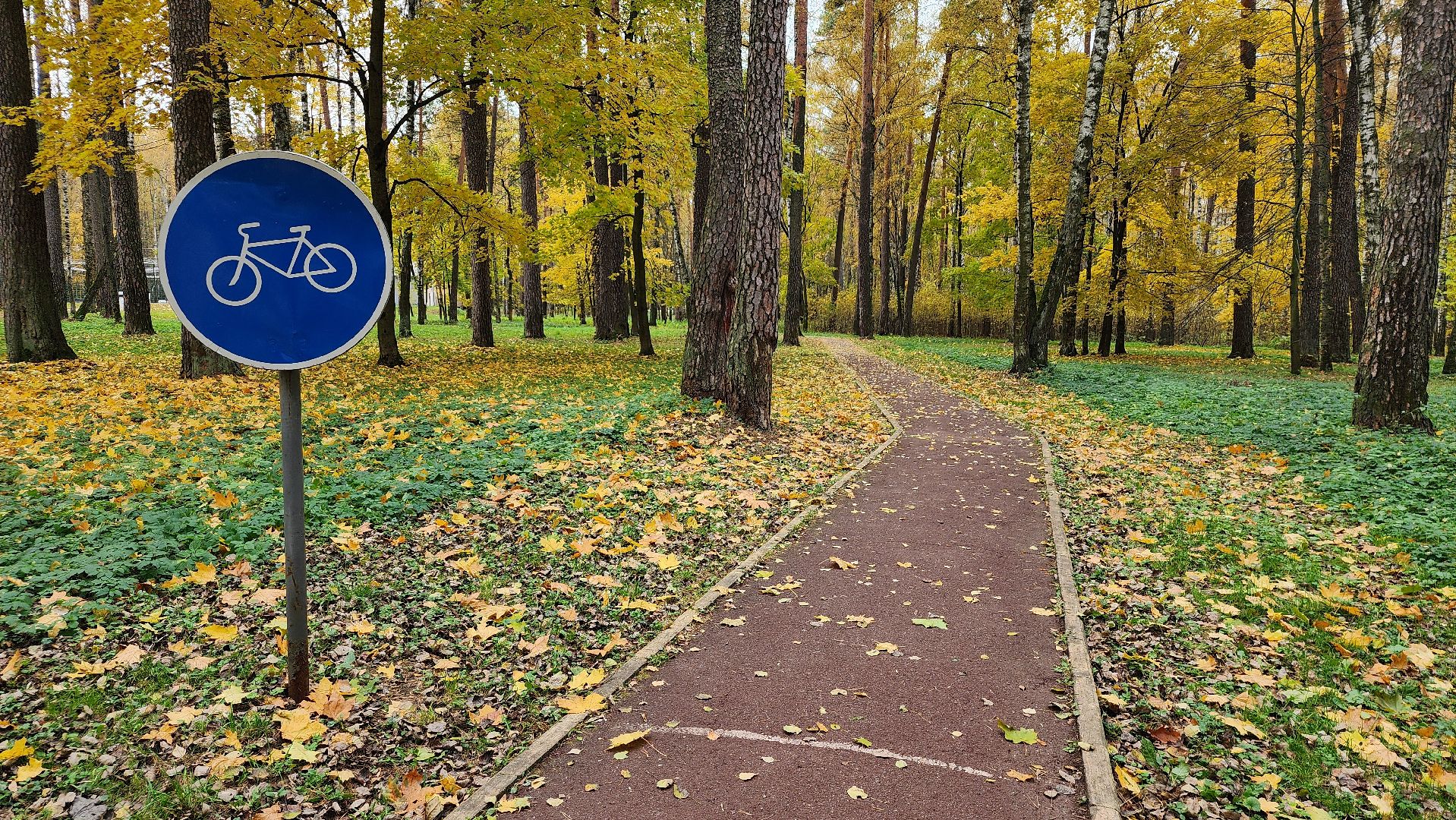 туризм, пешеходный маршрут, Центральный парк, Ногинск, Богородский городской округ,