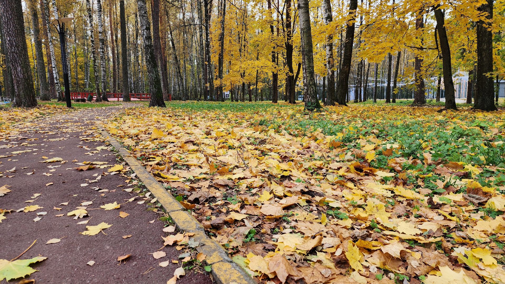 туризм, пешеходный маршрут, Центральный парк, Ногинск, Богородский городской округ,