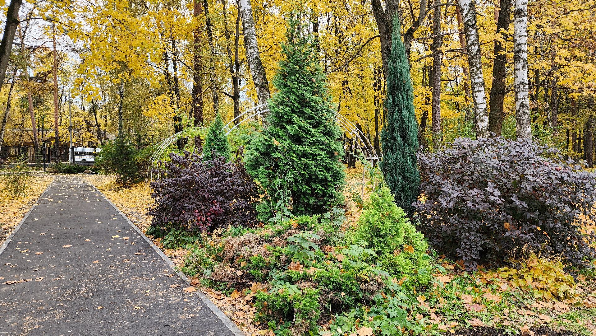 туризм, пешеходный маршрут, Центральный парк, Ногинск, Богородский городской округ,