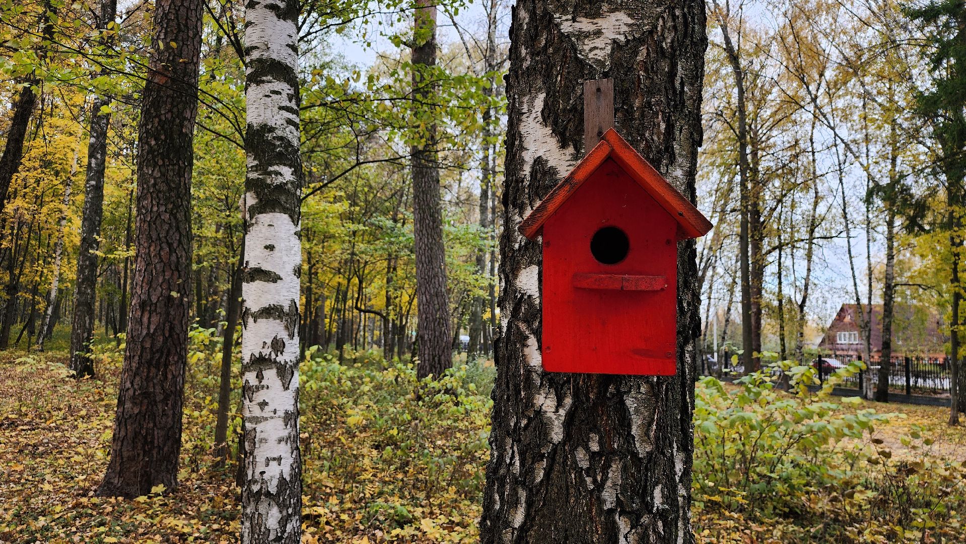 туризм, пешеходный маршрут, Центральный парк, Ногинск, Богородский городской округ,