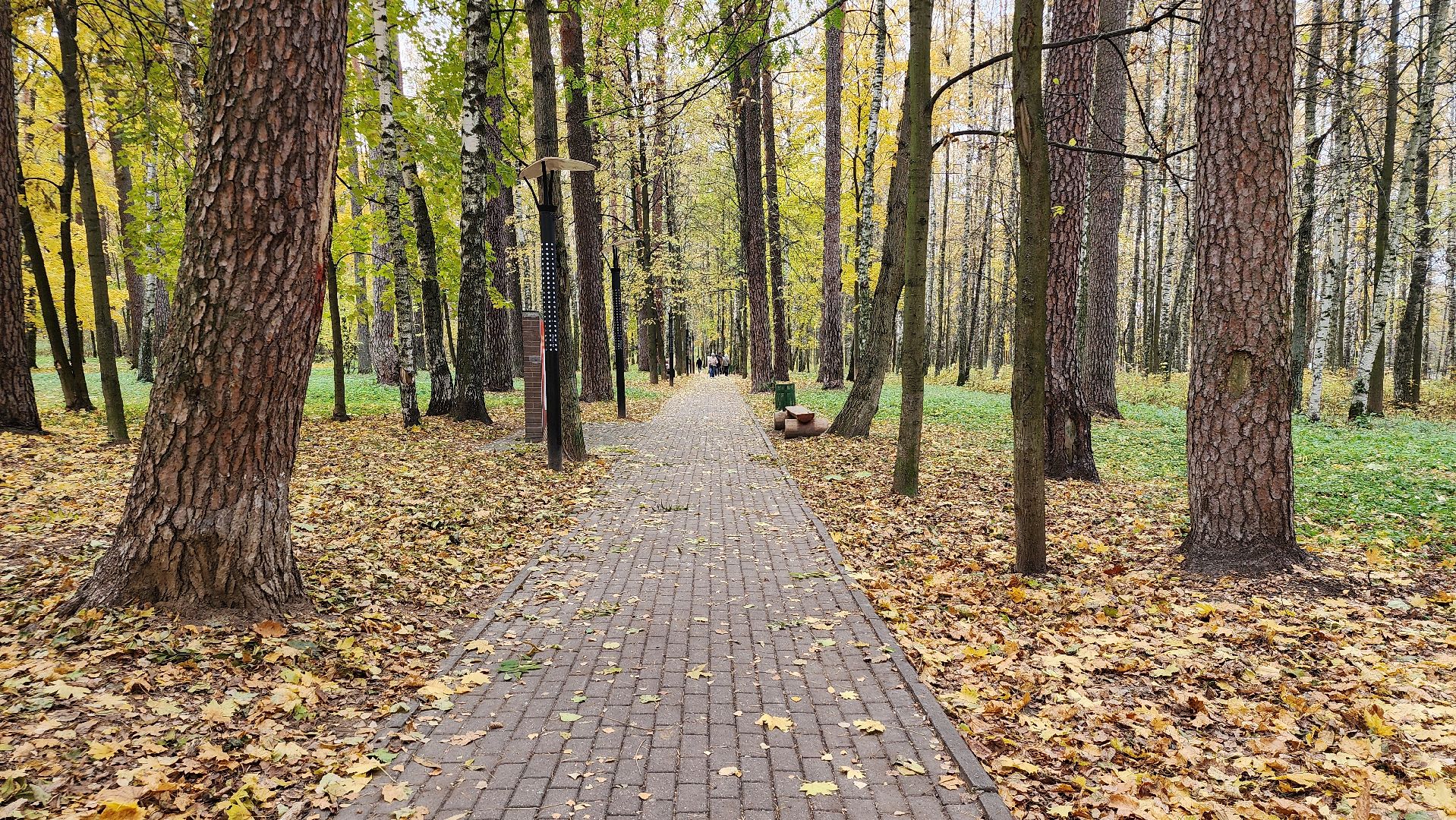 туризм, пешеходный маршрут, Центральный парк, Ногинск, Богородский городской округ,