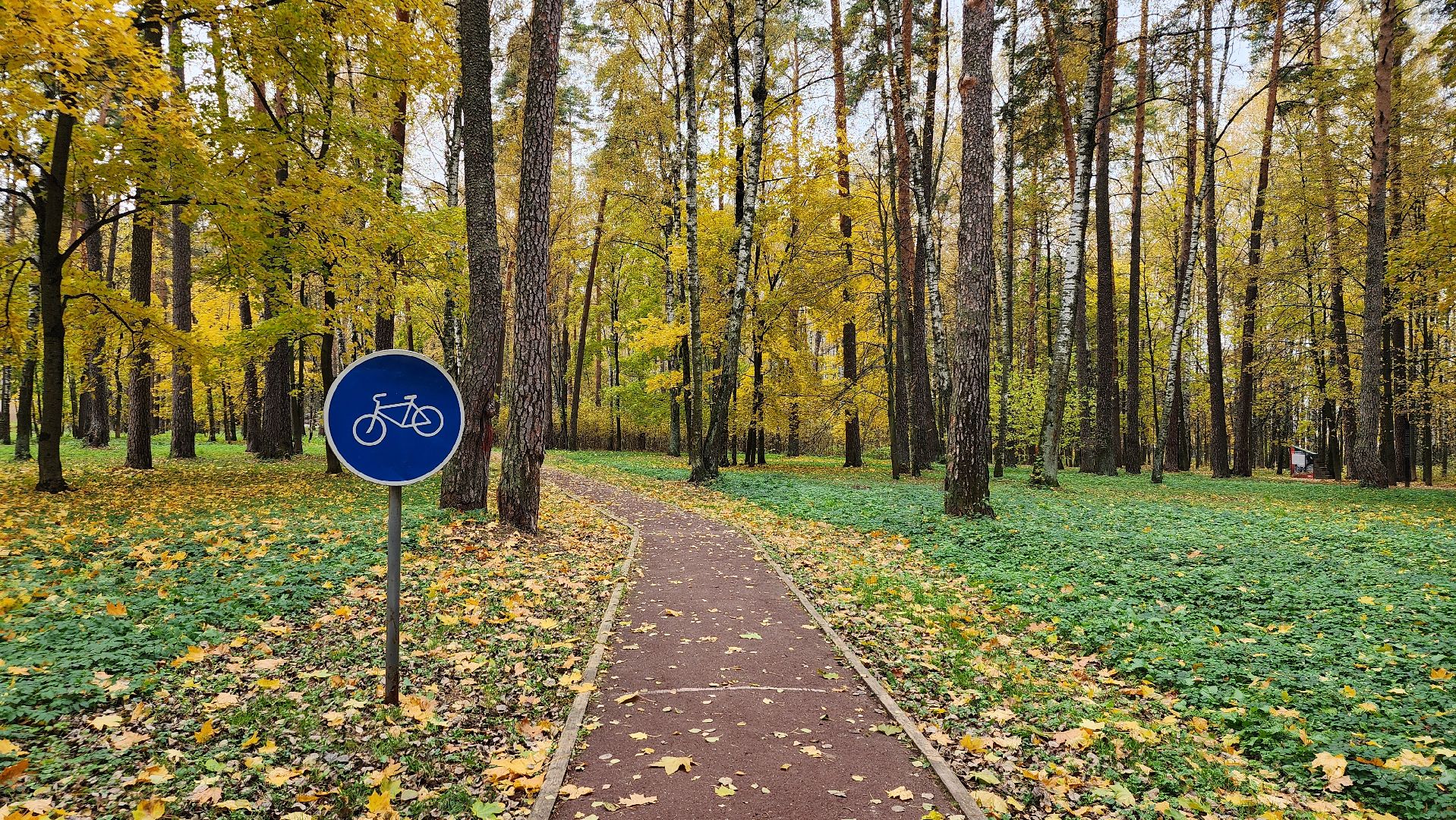 туризм, пешеходный маршрут, Центральный парк, Ногинск, Богородский городской округ,