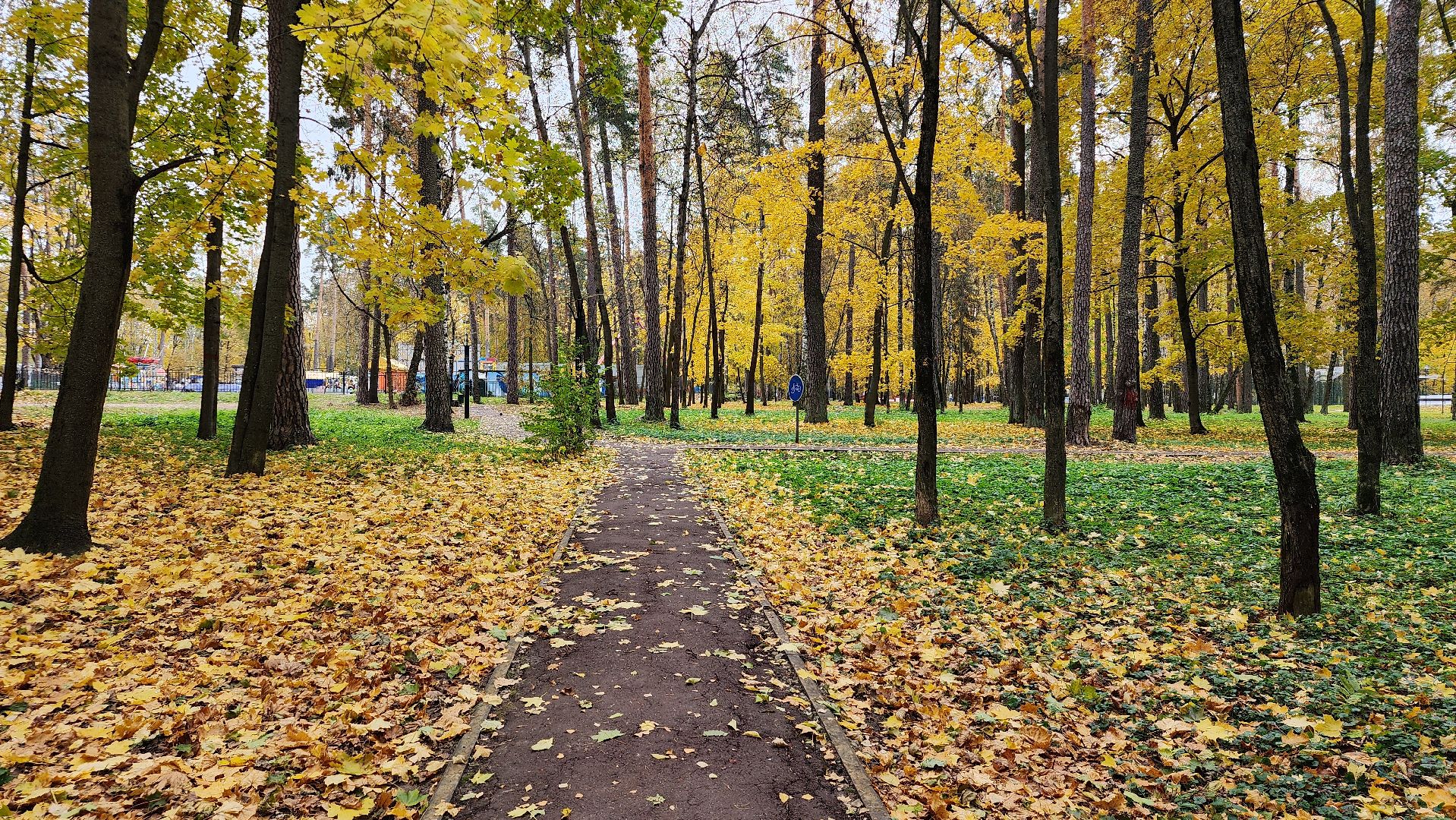 туризм, пешеходный маршрут, Центральный парк, Ногинск, Богородский городской округ,
