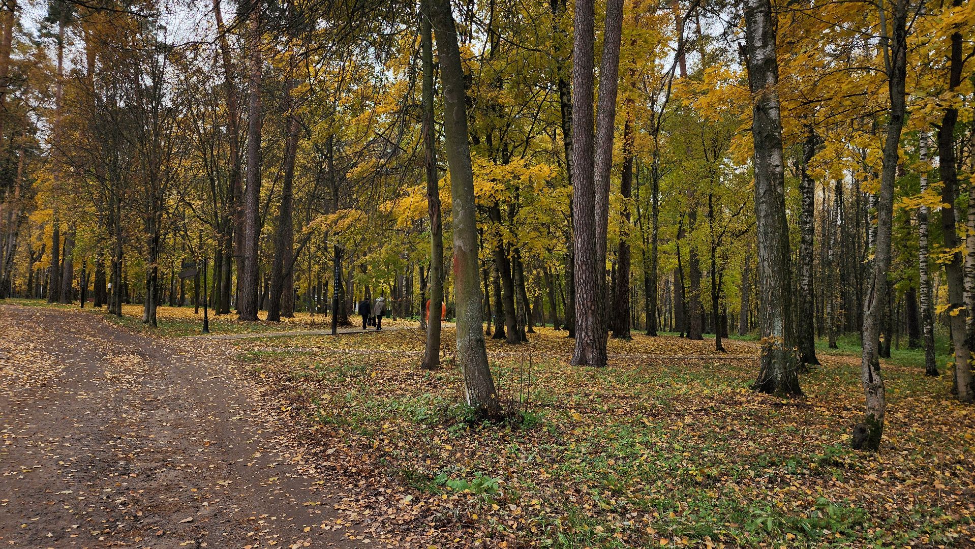 туризм, пешеходный маршрут, Центральный парк, Ногинск, Богородский городской округ,
