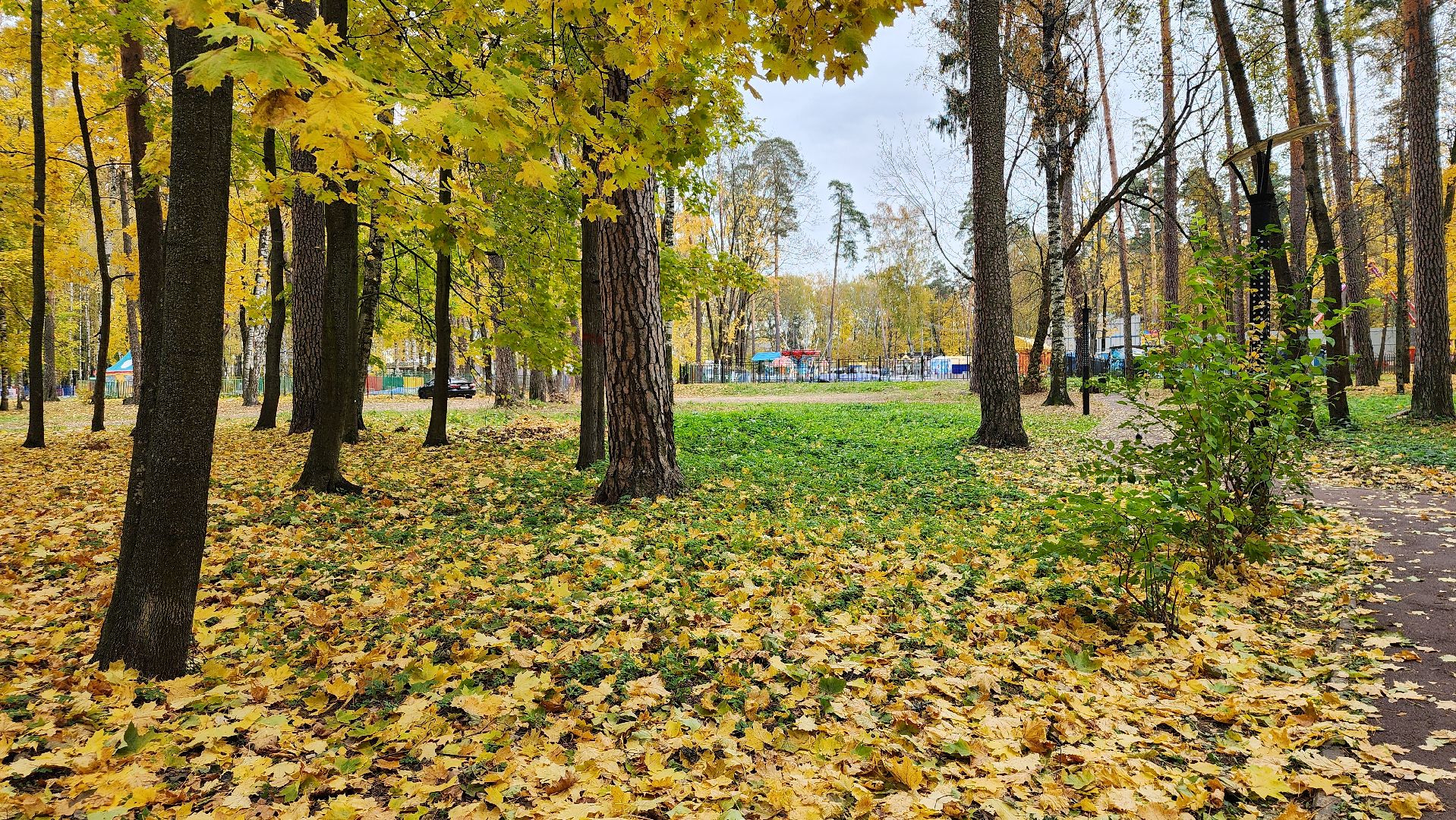 туризм, пешеходный маршрут, Центральный парк, Ногинск, Богородский городской округ,