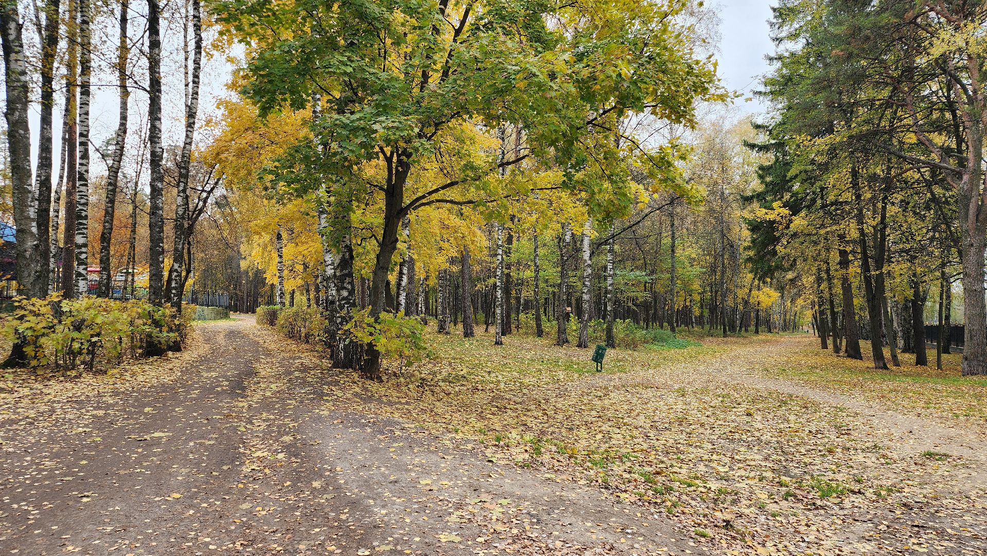 туризм, пешеходный маршрут, Центральный парк, Ногинск, Богородский городской округ,