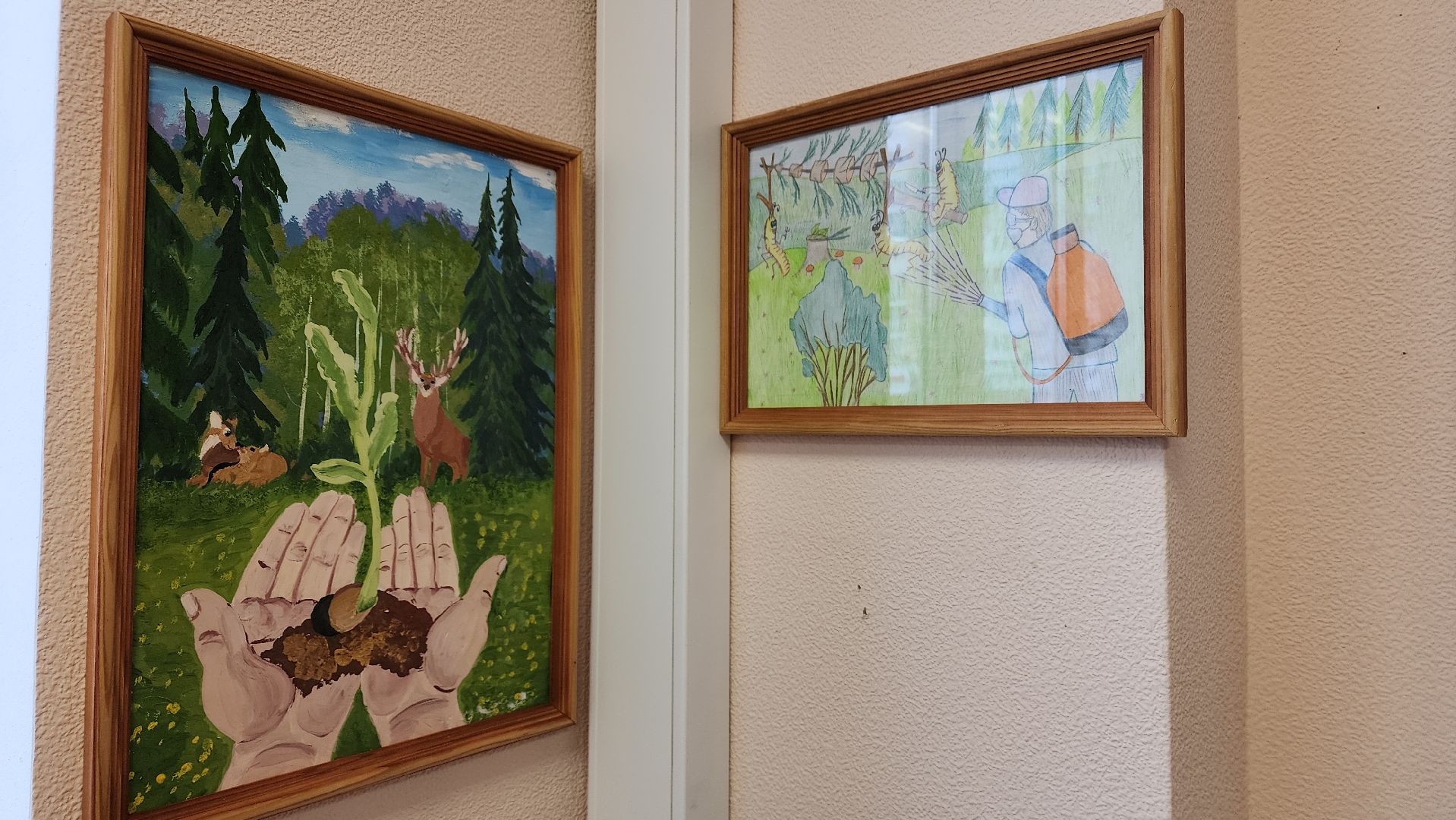 пушкино, леса, конкурс, конкурсы рисунков, дети россии, всероссийский конкурс, экспозиция,