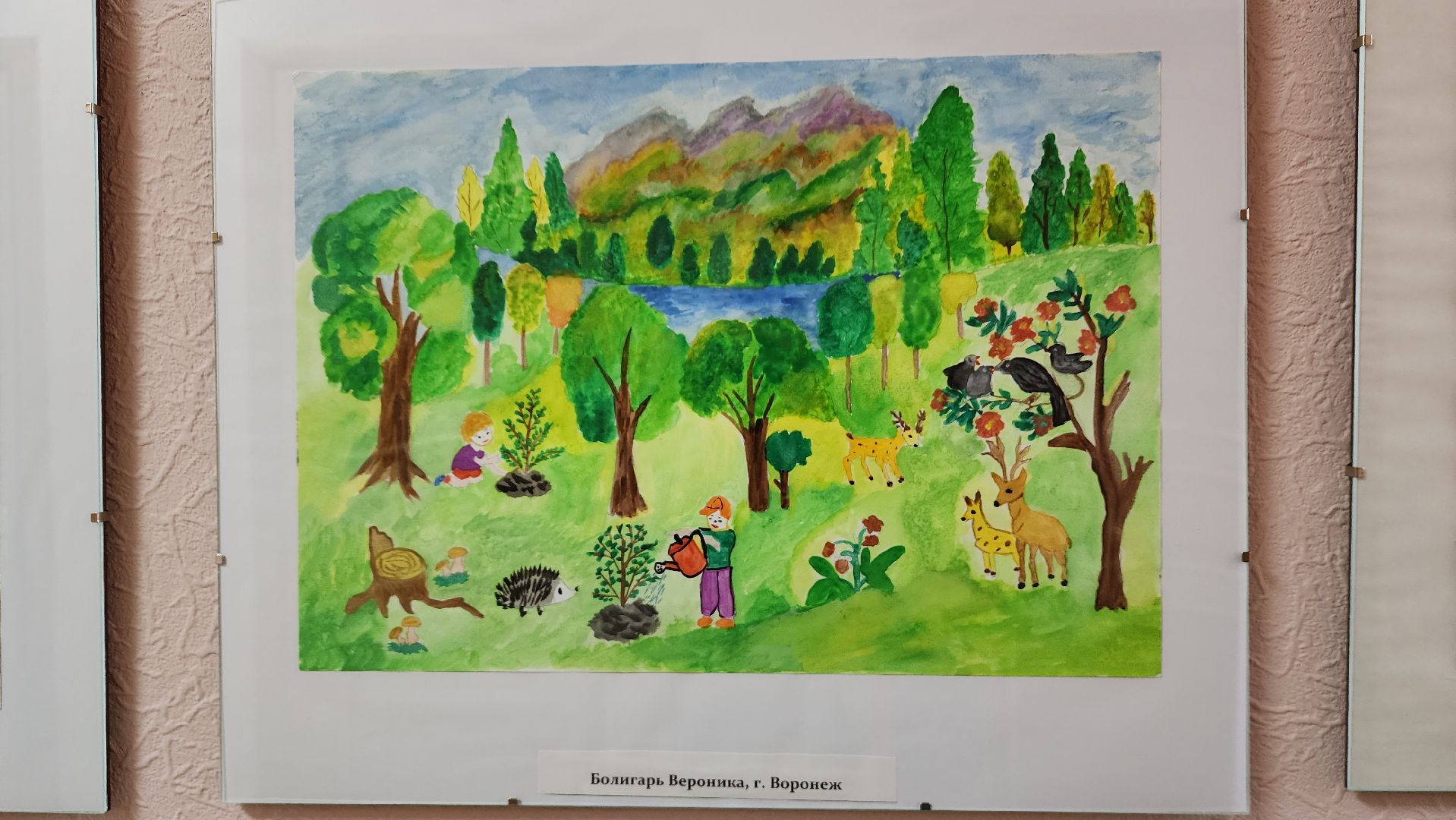 пушкино, леса, конкурс, конкурсы рисунков, дети россии, всероссийский конкурс, экспозиция,