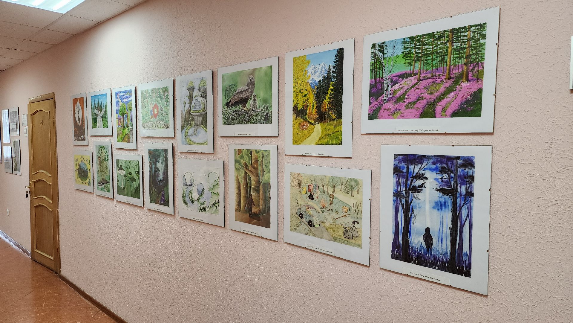 пушкино, леса, конкурс, конкурсы рисунков, дети россии, всероссийский конкурс, экспозиция,