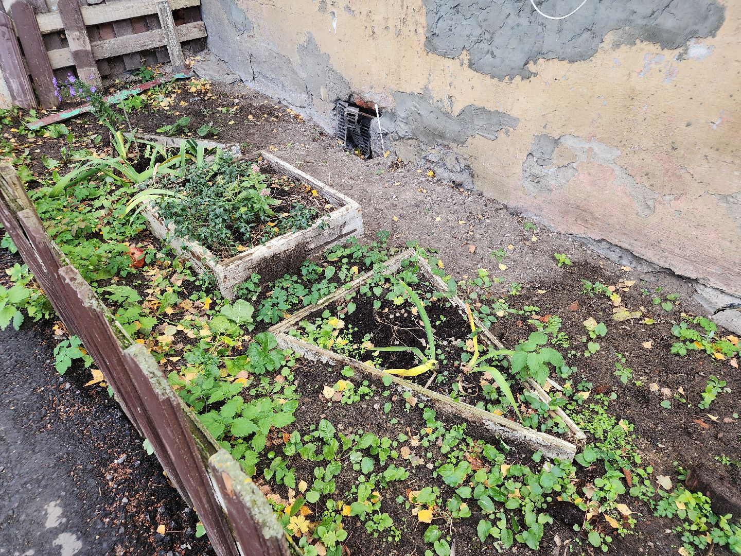 выездная администрация, орехово-зуево,