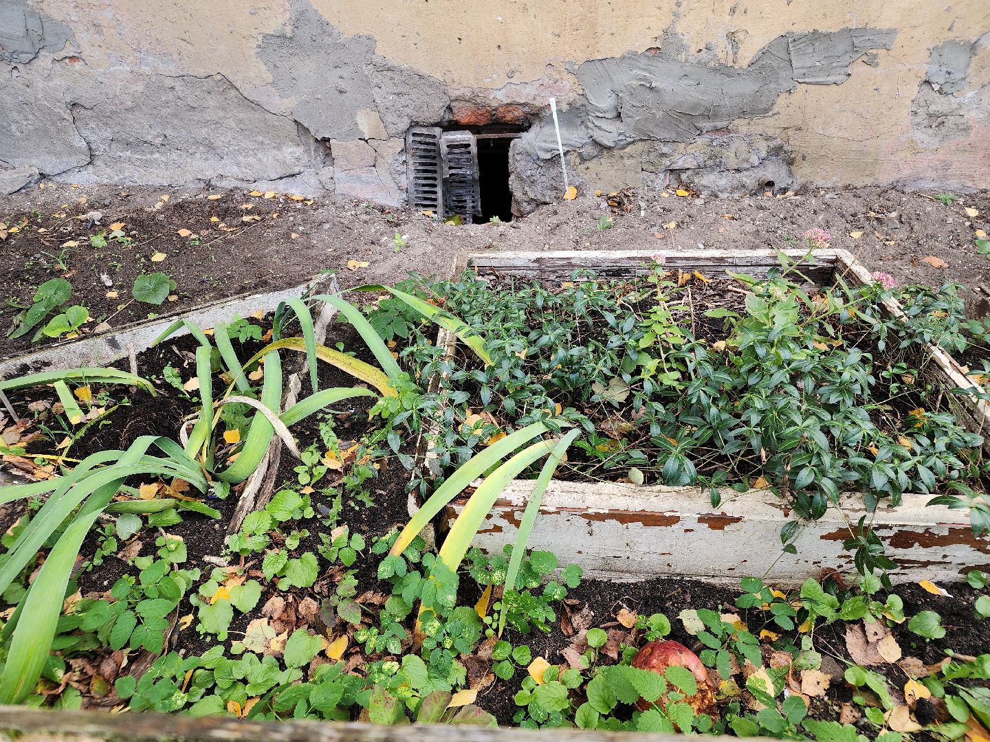 выездная администрация, орехово-зуево,