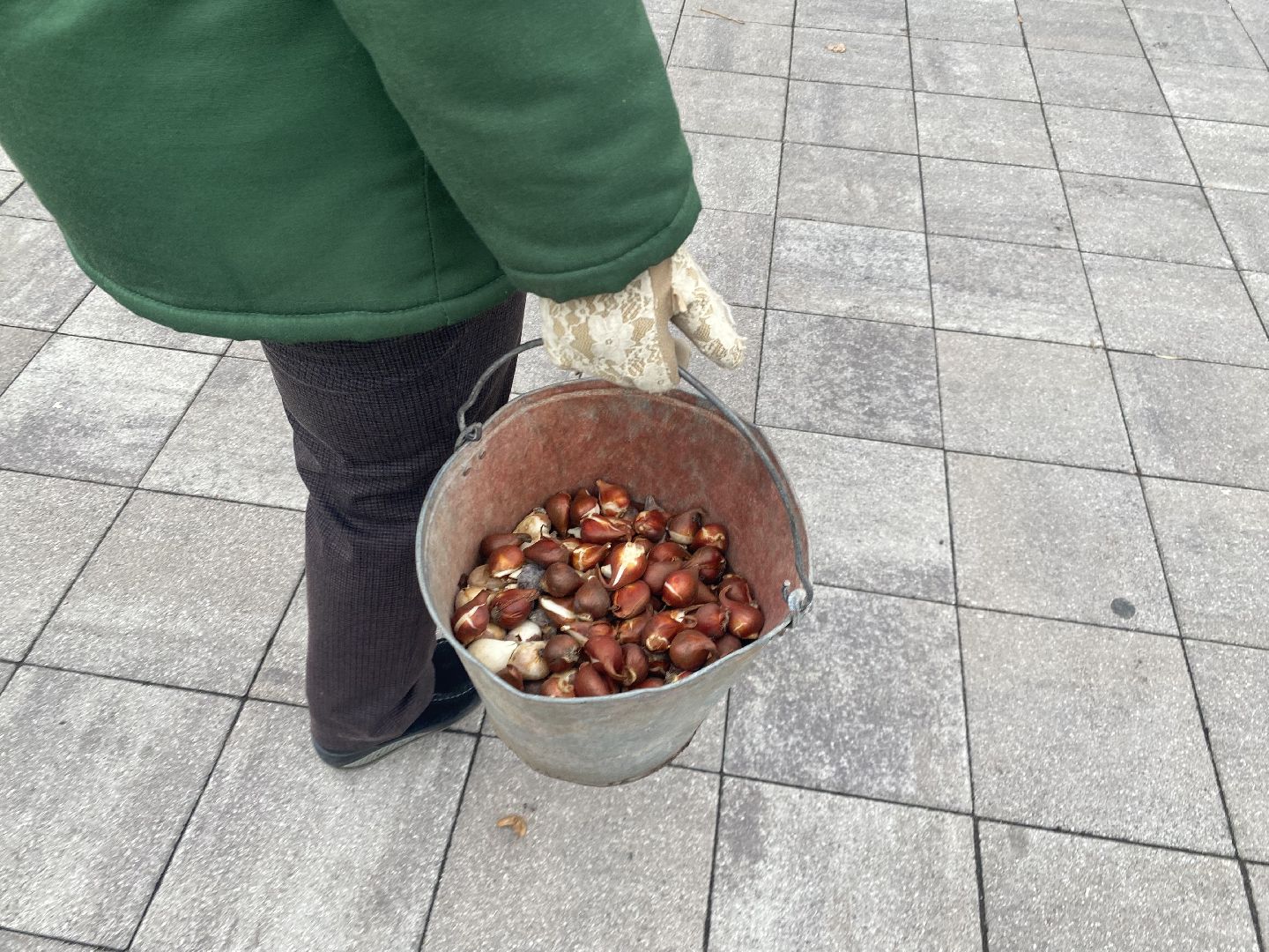 жкх, благоустройство, истра, цветы,