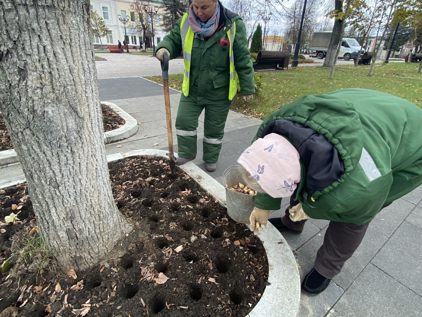 жкх, благоустройство, истра, цветы,