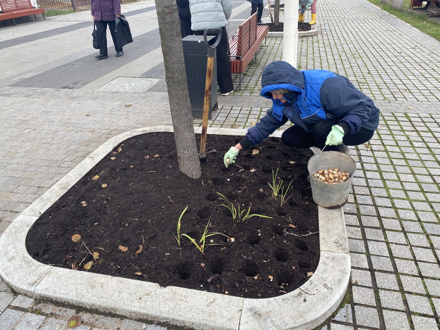 жкх, благоустройство, истра, цветы,