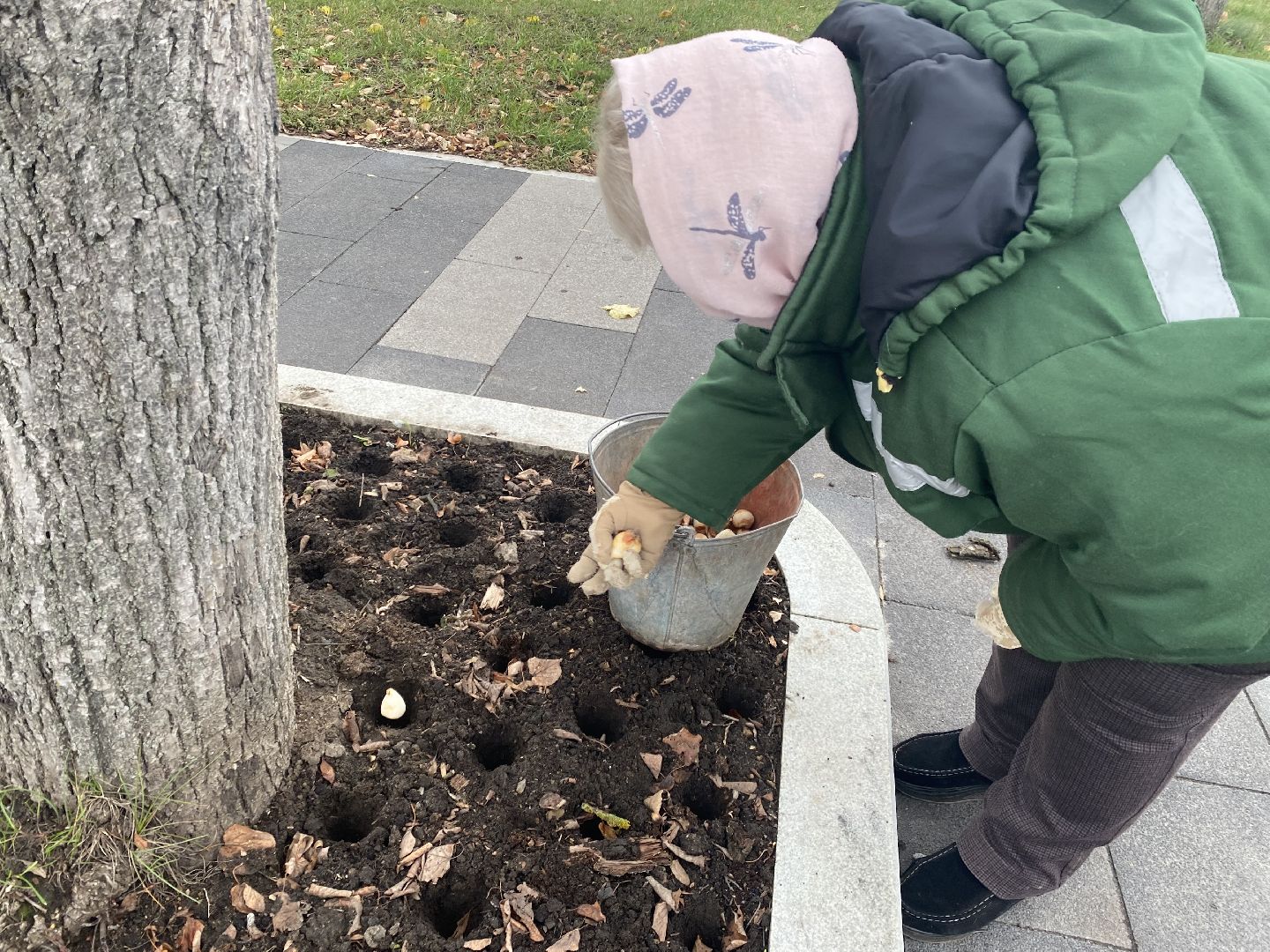жкх, благоустройство, истра, цветы,