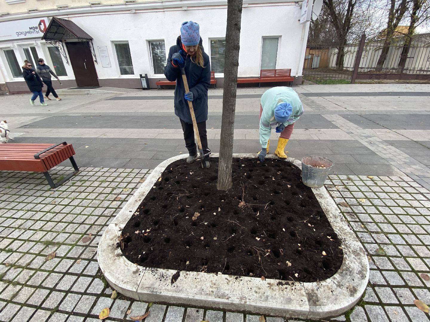 жкх, благоустройство, истра, цветы,