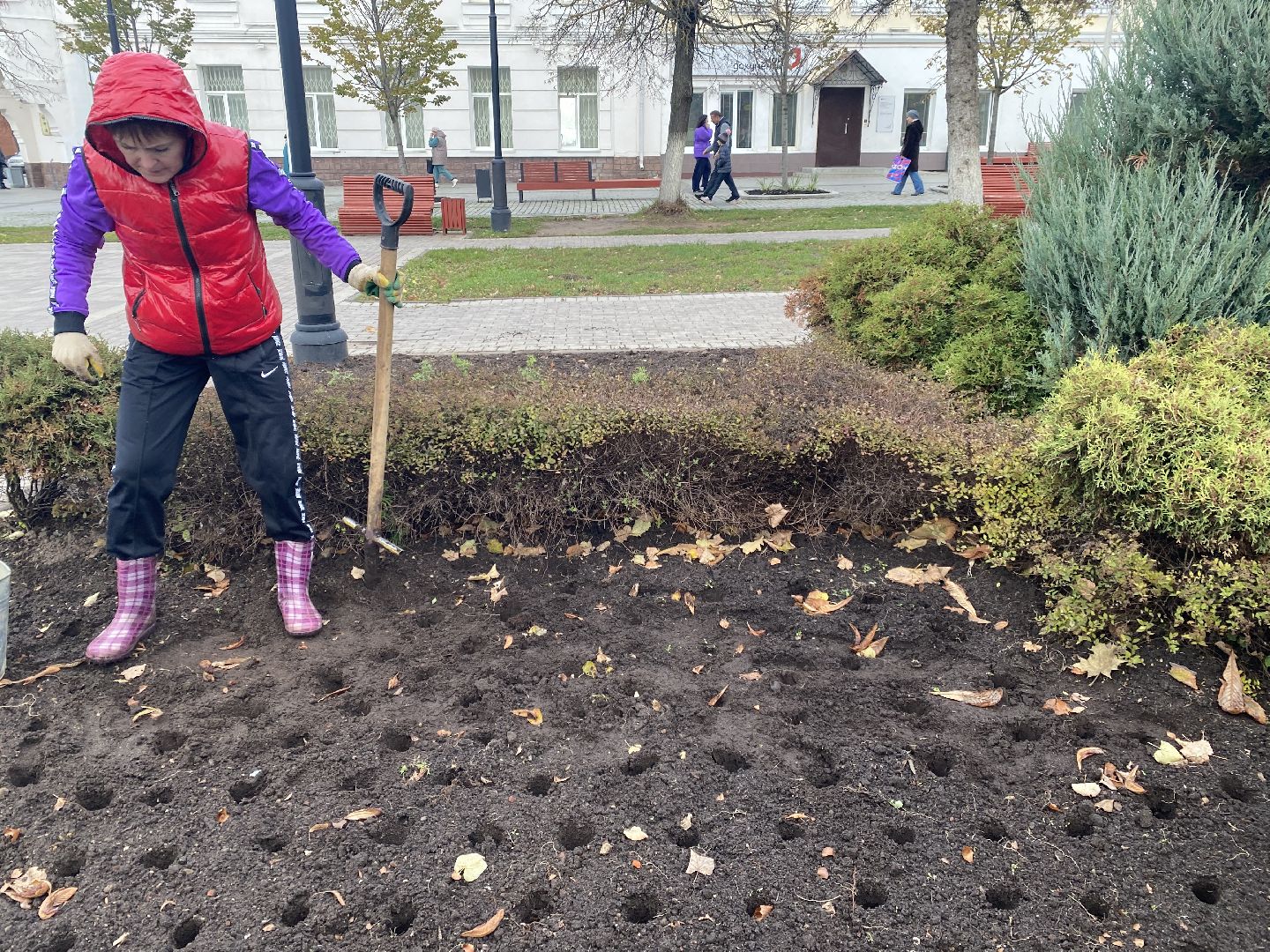 жкх, благоустройство, истра, цветы,