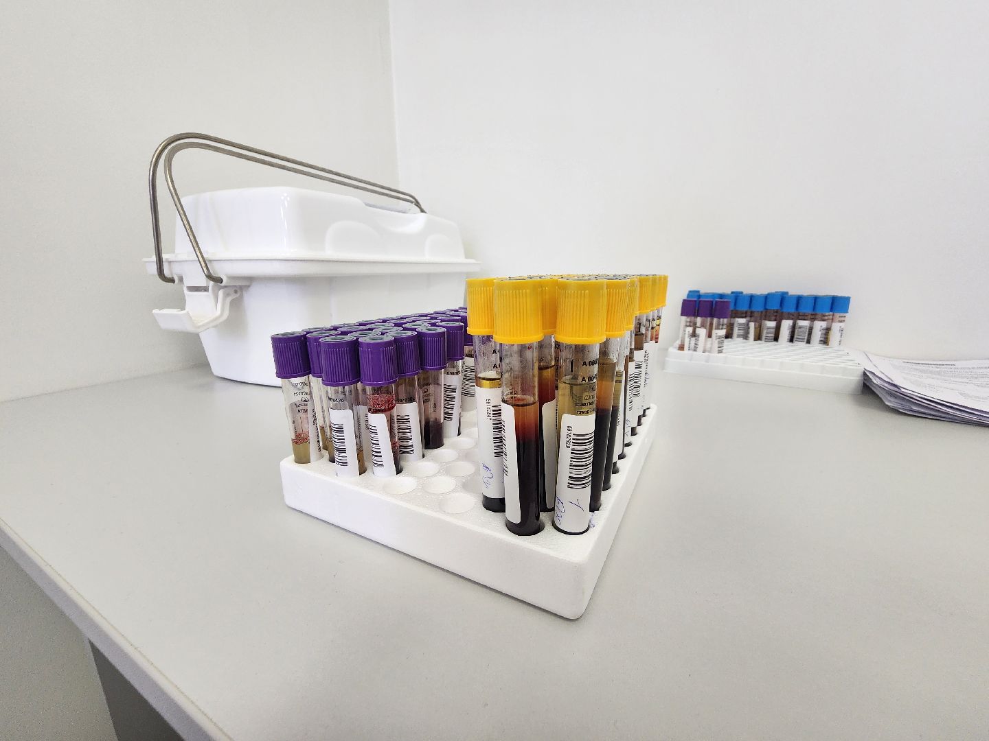 онкологическая помощь, обследование,