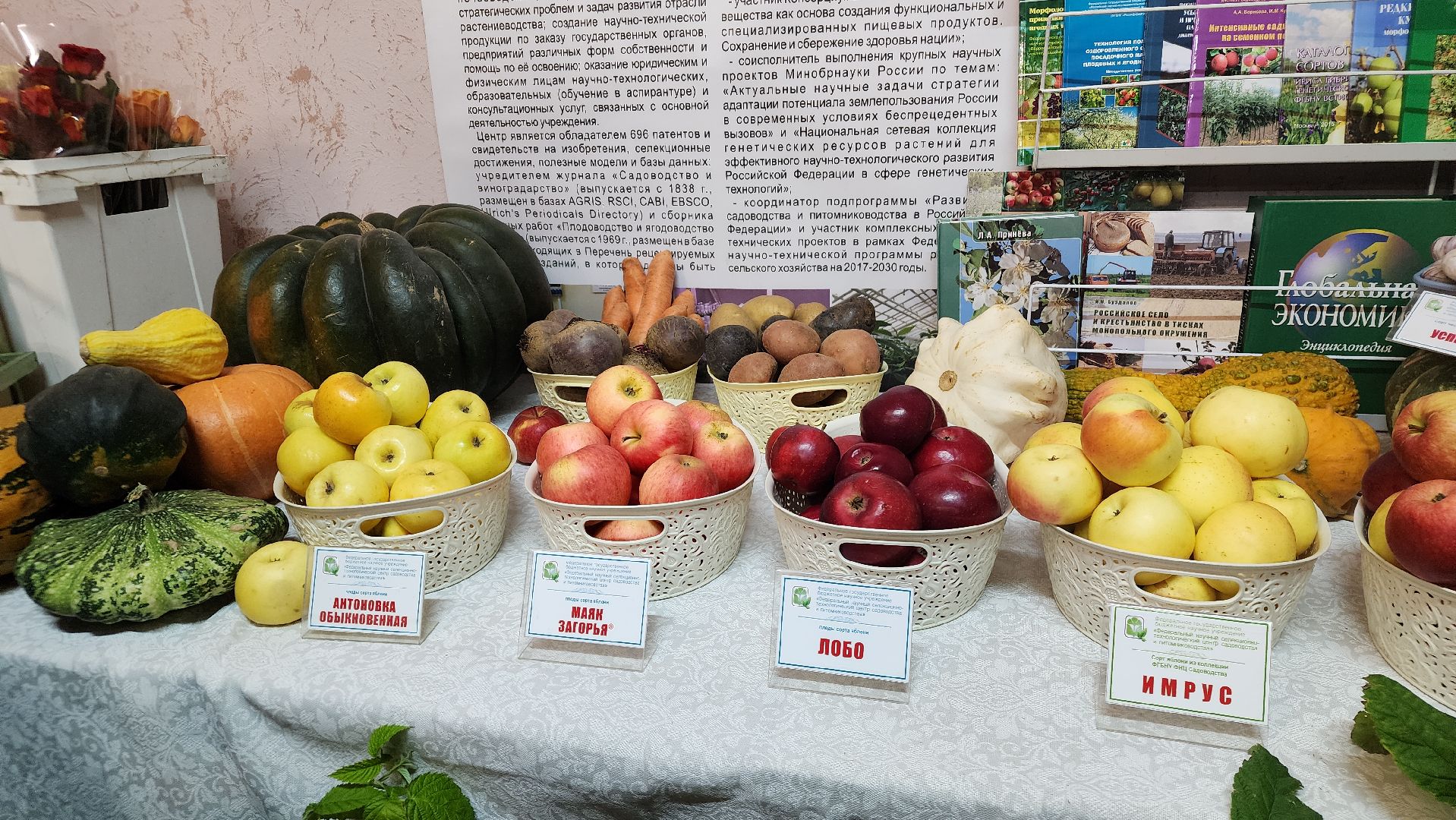 ступино, сельское хозяйство, сельское хозяйство подмосковья,