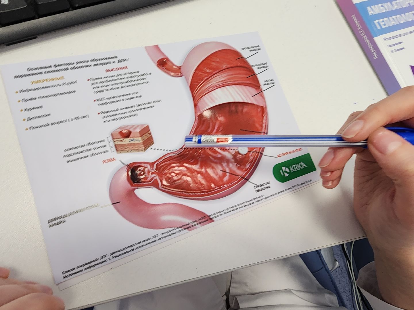 правильное питание, советы врачей,