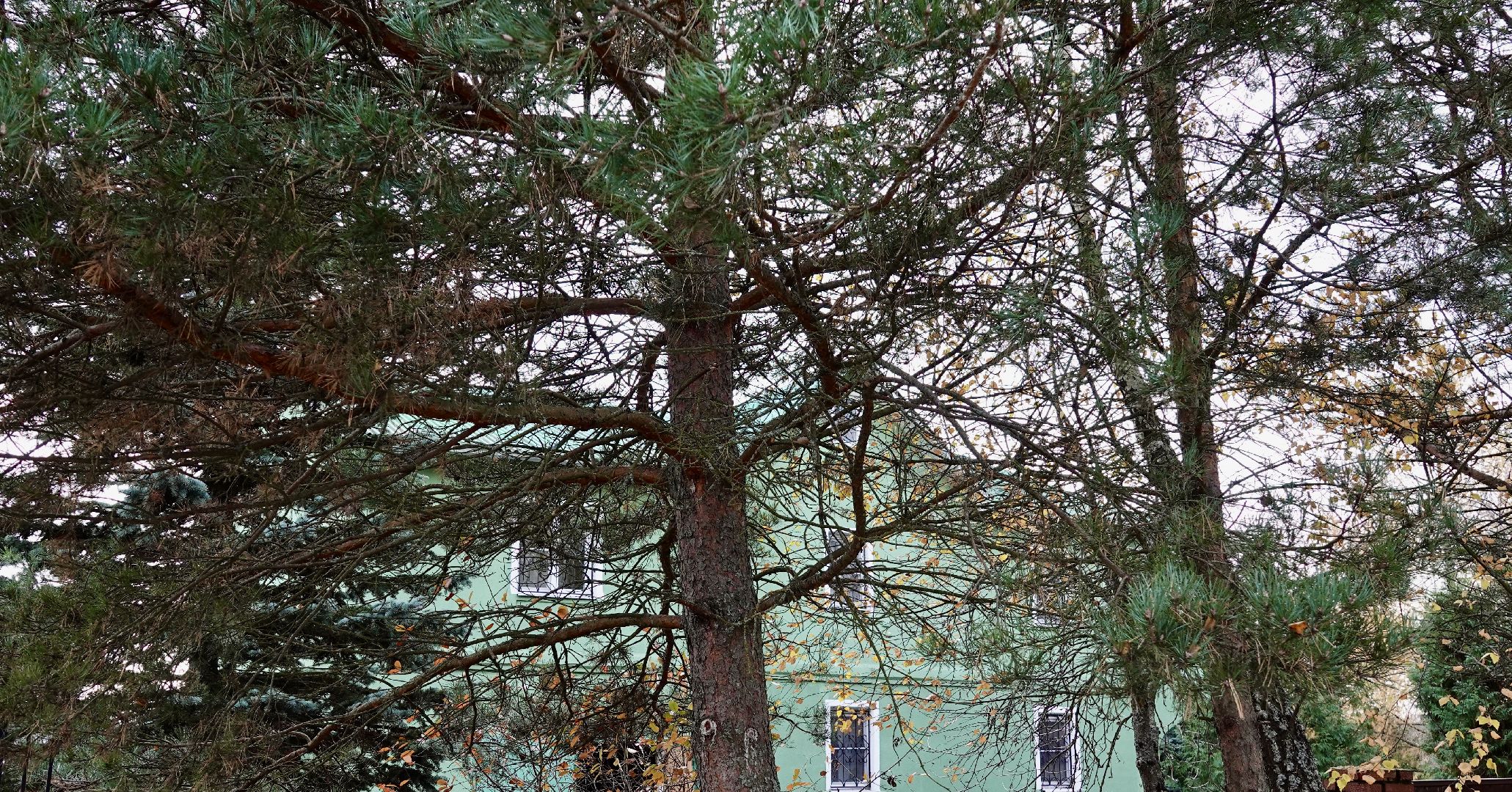 Сергиево-Посадский городской округ, Опашка, Безопаность, Противопожарные меры, МЧС,