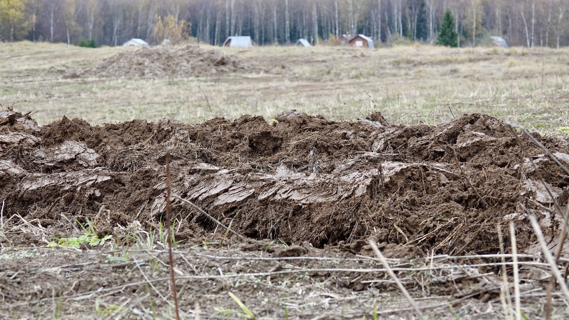 Сергиево-Посадский городской округ, Опашка, Безопаность, Противопожарные меры, МЧС,
