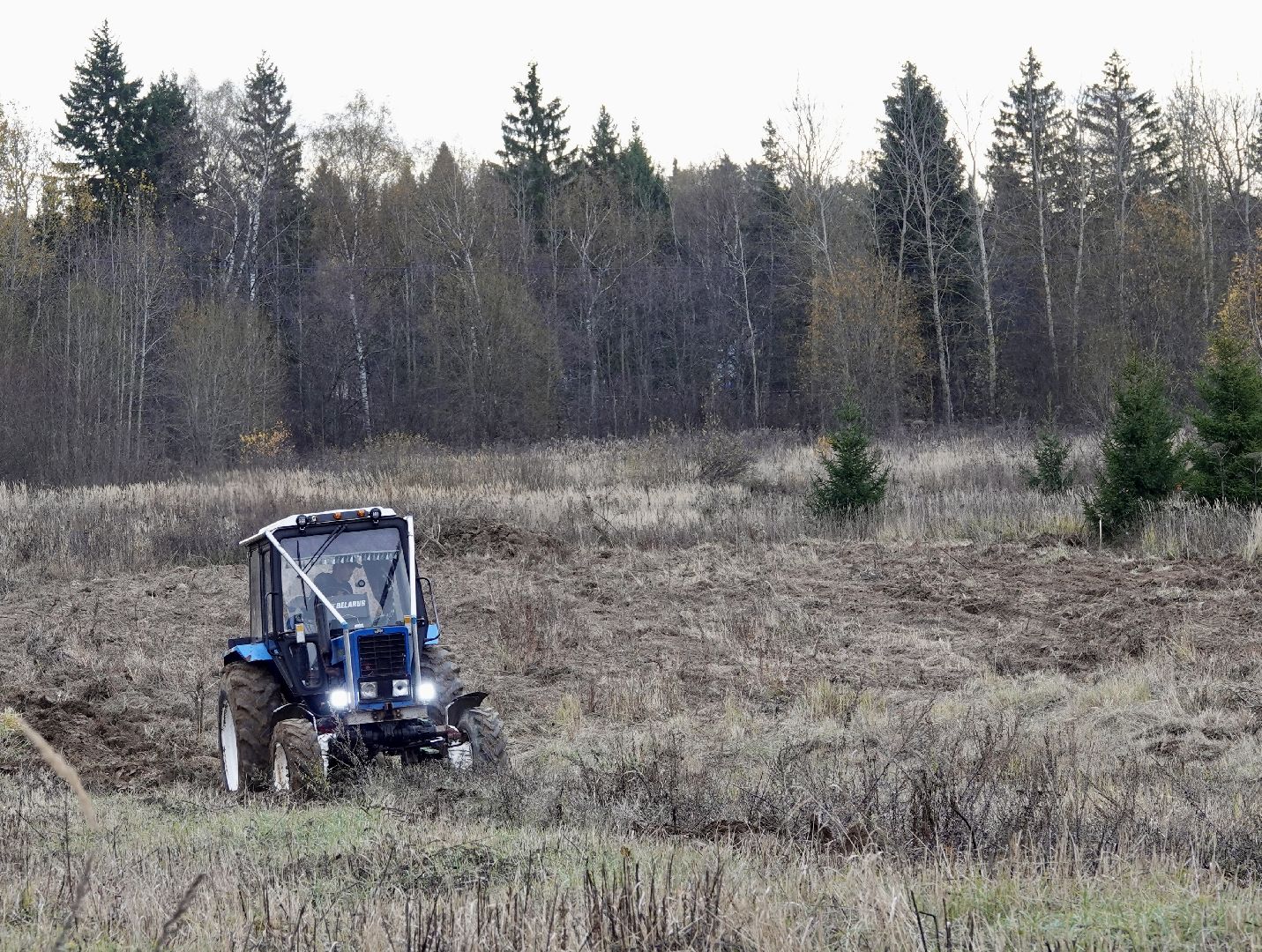 Сергиево-Посадский городской округ, Опашка, Безопаность, Противопожарные меры, МЧС,