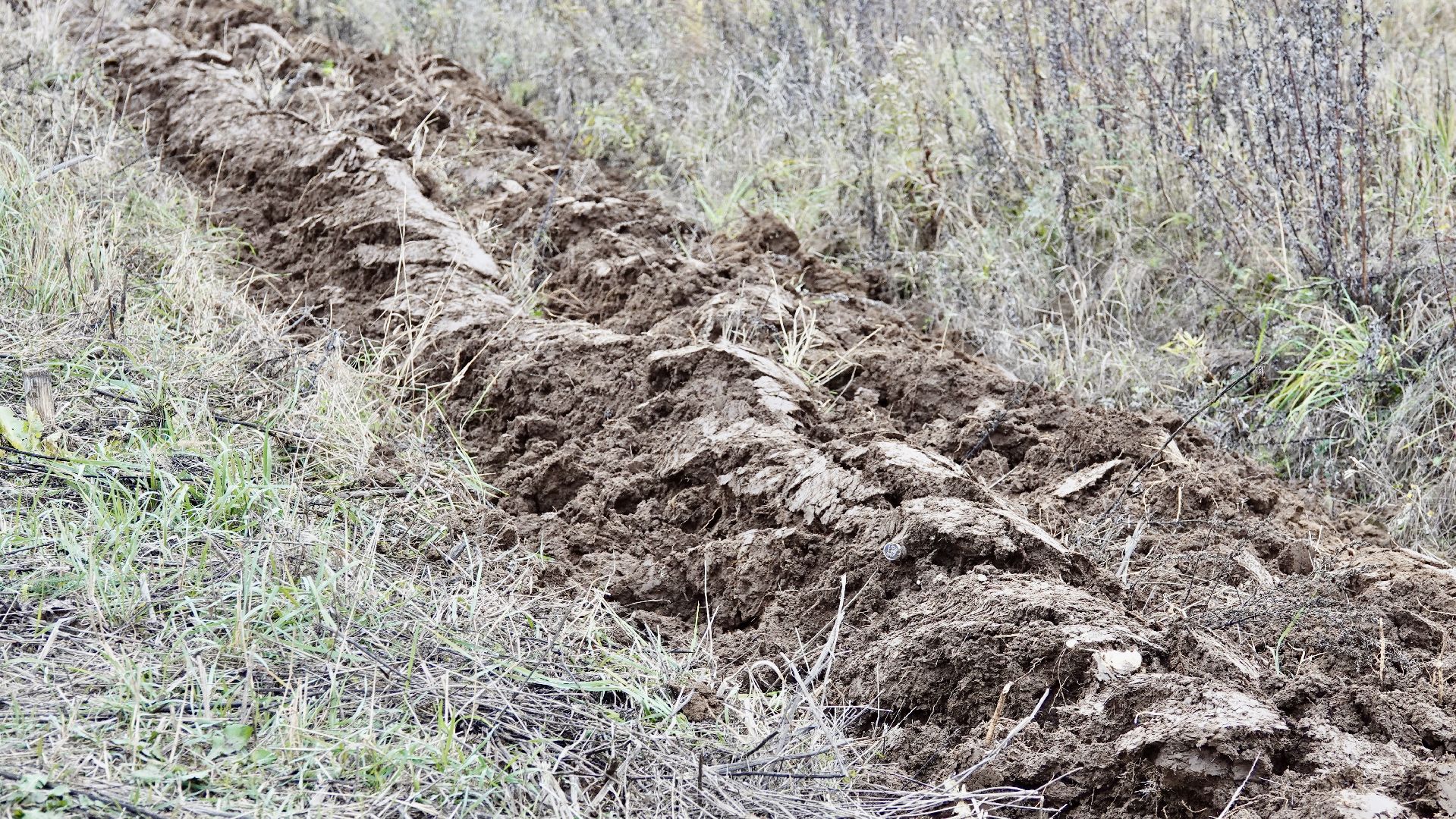 Сергиево-Посадский городской округ, Опашка, Безопаность, Противопожарные меры, МЧС,