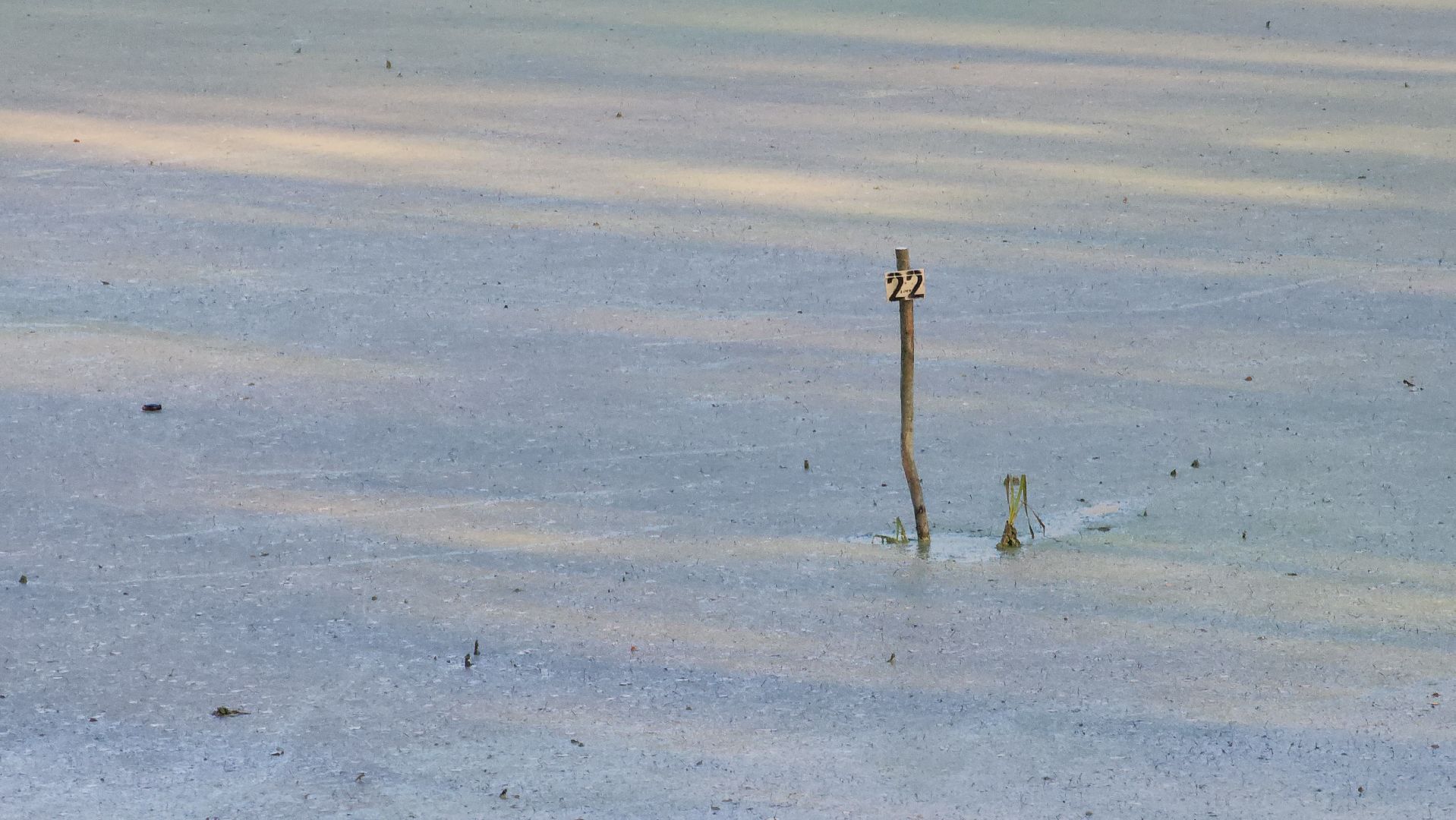 Ступино, внедорожники, спорт подмосковья,