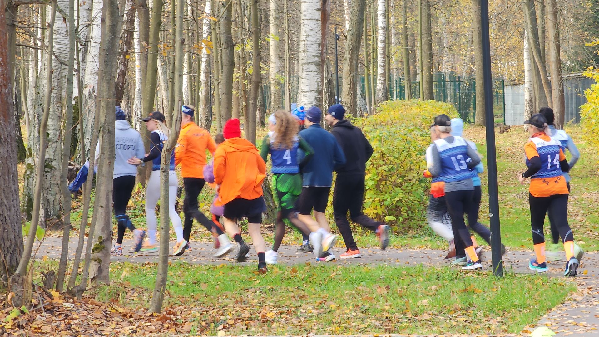 ступино, спорт в подмосковье, бег в подмосковье,