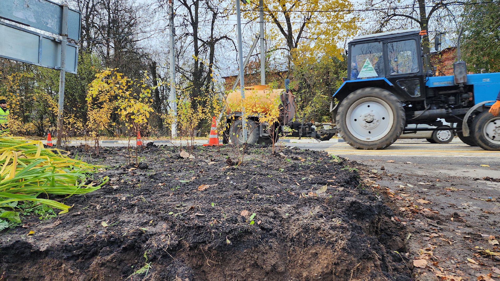 домодедово, подмоксовье, благоустройсво, Цветник, Клумба,