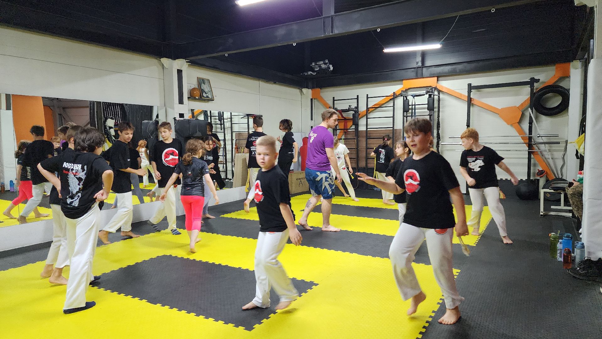 Подмосковье, Домодедово, День тренера, Спортвный клуб, Капоэйра, Зеленый пояс,