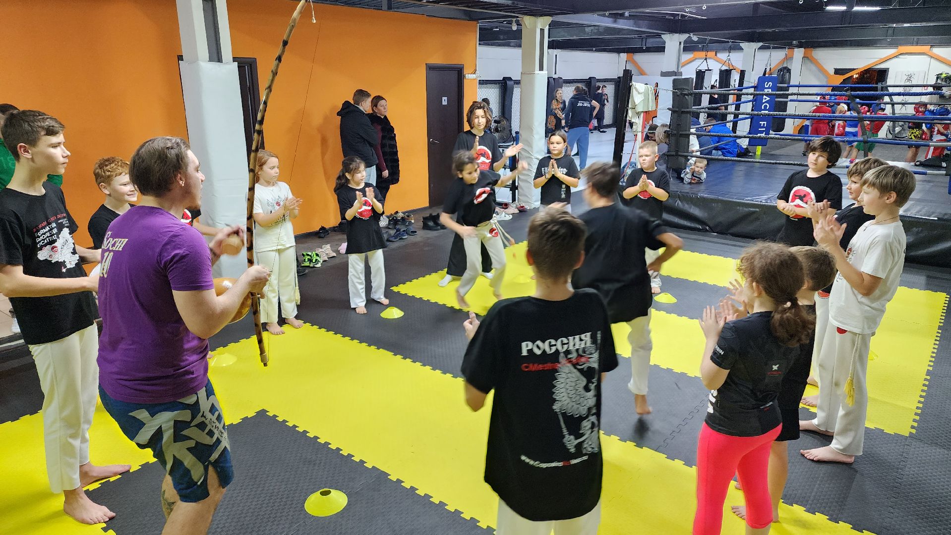 Подмосковье, Домодедово, День тренера, Спортвный клуб, Капоэйра, Зеленый пояс,